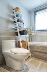 Modern bathroom in luxury house