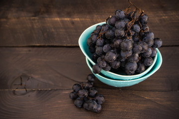 Organic food concept