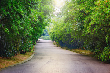 View of the asphalt road in the park.