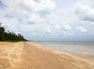 Maragogi_beach