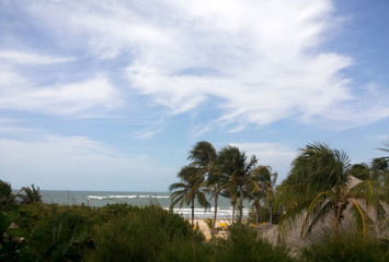 Obraz premium Mundau beach