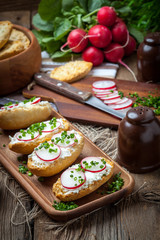 Toasts with radish, chives and cottage cheese.