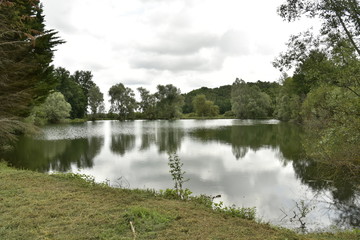 Fototapeta na wymiar Reflet des nuages et de la nature sur l'étang aux eaux couleur kaki près de Vendoire ,au Périgord Vert