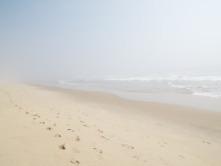 Fototapeta na wymiar foggy beach