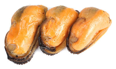 marinated mussels isolated on white background