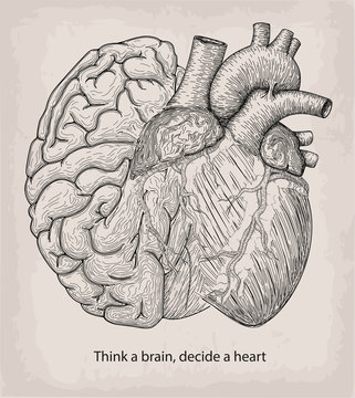 Heart with half brain of human together. Hand drawn print. Design element. Tattoo black linear art. Decorative beautiful object isolated white background. Copy text space Think a head decide a heart