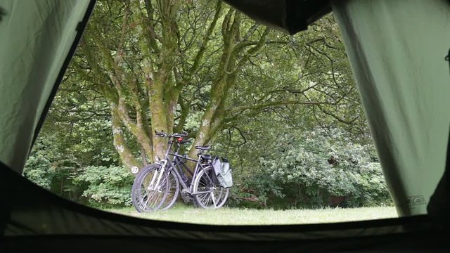 Two bikes with panniers leaning over old green mossy tree trunk. View from tent on camping site. Forest in background