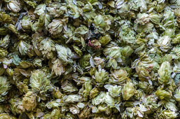 Obraz premium Equipment inside brewery