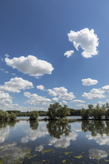 Obraz na płótnie Canvas river Rhine landscape in the Rheingau area