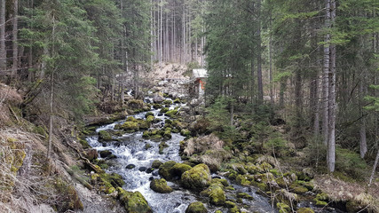 Alpine stream in Austria