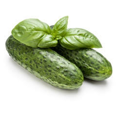 Cucumber vegetable and basil leaves isolated on white background cutout