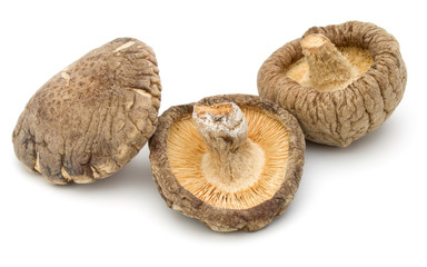 Dried Shiitake Mushroom isolated on white background