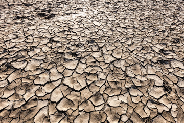 Arid land for the consequences of global warming