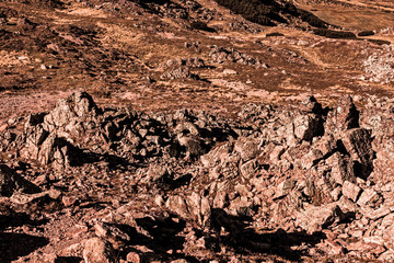 martian landscape with rocks