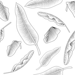 Seamless tropical pattern with image of a Banana leaves. Vector black and white illustration.