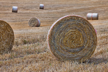 Hay bales ready for transport