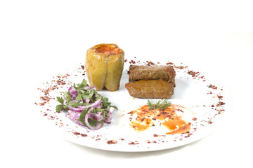 Sarma/ Stuffed Vine Rolls and Dolma/ Stuffed Green Pepper with Yoghurt and Sliced Red Onion on a White Plate, White Background