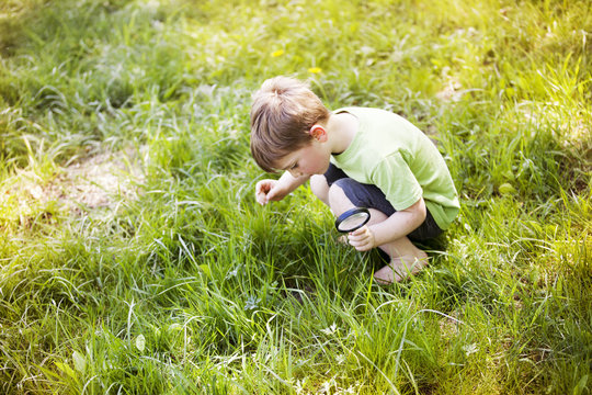High angle view of boy looking at grass while holding magnifying glass