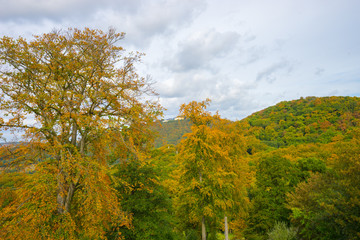 Beautiful mountain view in Autumn