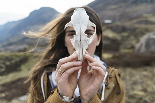 รูปภาพBone – เลือกดูภาพถ่ายสต็อก เวกเตอร์ และวิดีโอ1,407,323 | Adobe Stock