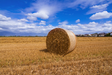 Goldene Strohballen nach der Ernte