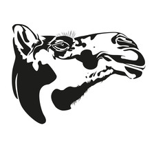 Collection of funny animals vector silhouettes