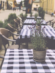 Table with flower pot in a cozy cafe
