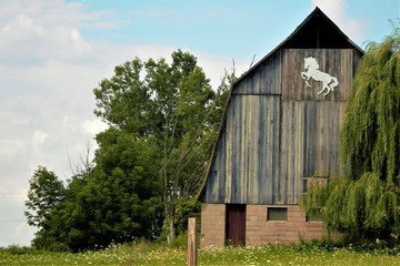 0017 - Hassler Lake Road Horse Barn (0017-BAR-080217-1159A)