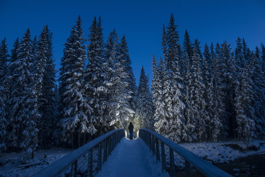 Rear view of hiker walking on footbridge towards forest