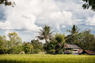 landscape isan thailand. province udon thani