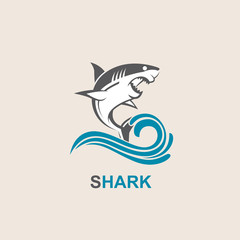 icon of angry shark with sea waves