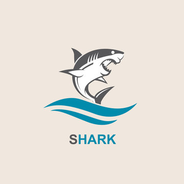 icon of angry shark with sea waves