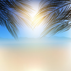 Fototapeta na wymiar Summer palm tree background