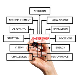 The scheme of leadership