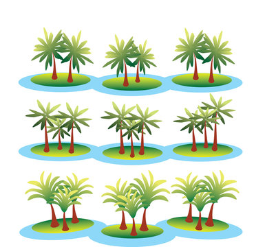 Different palm trees. Clip art