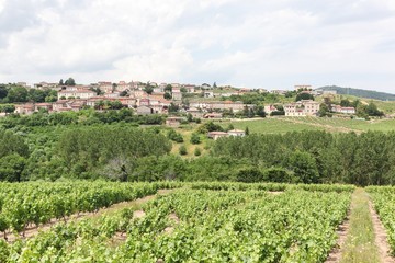 Fototapeta na wymiar View of the village of Vaux en Beaujolais in Beaujolais, France