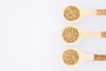 Seeds alfalfa - Medicago sativa
