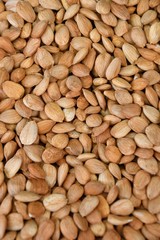 Dried almond kernel
