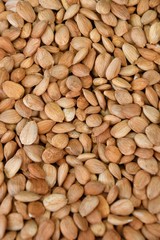 Dried almond kernel