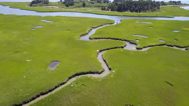 Channels Winding Through Wetland on Cape Cod
