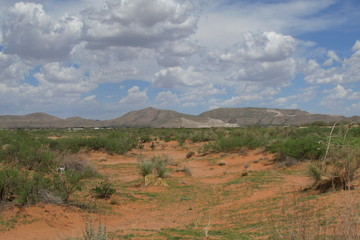 El Paso Landscape 