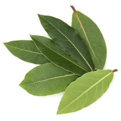 Aromatic bay leaves