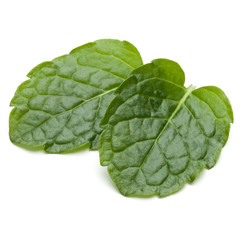 Peppermint herb isolated on white background cutout. Mint leaves.