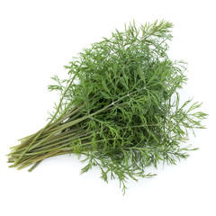 fresh green dill herb leaves bunch isolated on white background cutout