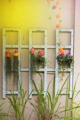 Fototapeta na wymiar orange flower on white window