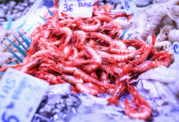 Fresh seafood in a food market of Barcelona