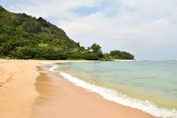Fototapeta na wymiar Moloaa Beach-Kauai 2