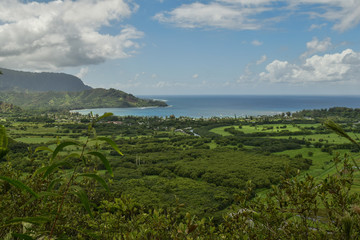 Hanalei Bay Overlook