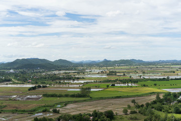 Fototapeta na wymiar High angle rice fields beautiful sky