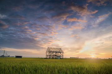 Colorful sunrise at an abandoned house in the middle of paddy field